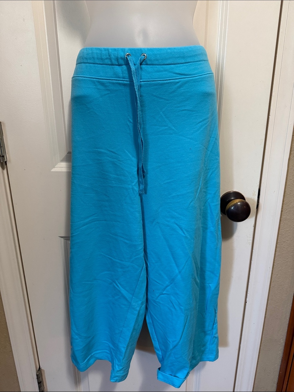 Bright blue ankle pants. Size L